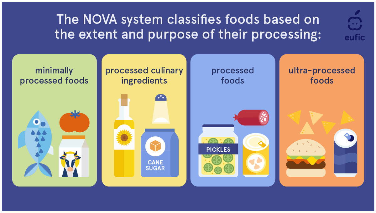 1 Unprocessed or minimally processed foods; 2 Processed culinary ingredients; 3 Processed foods; 4 Ultra-processed food