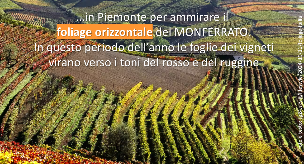 Immagine di vigneti con colori autunnali e testo “…in Piemonte per ammirare il foliage orizzontale del MONFERRATO. In questo periodo dell’anno le foglie dei vigneti virano verso i toni del rosso e del ruggine”