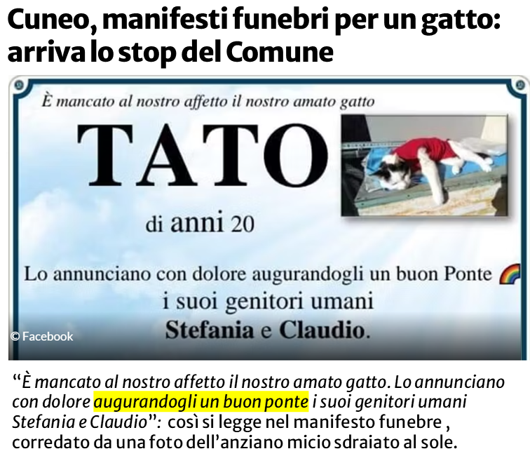 Foto di manifesto funebre per “TATO di anni 20”. Titolo: “Cuneo, manifesti funebri per un gatto, arriva lo stop del Comune”. Testo: “è mancato al nostro affetto il nostro amato gatto. Lo annunciano con dolore augurandogli un buon ponte i suoi genitori umani Stefania e Claudio”, così i legge nel manifesto funebre, corredato da una foto dell’anziano micio sdraiato al sole. 