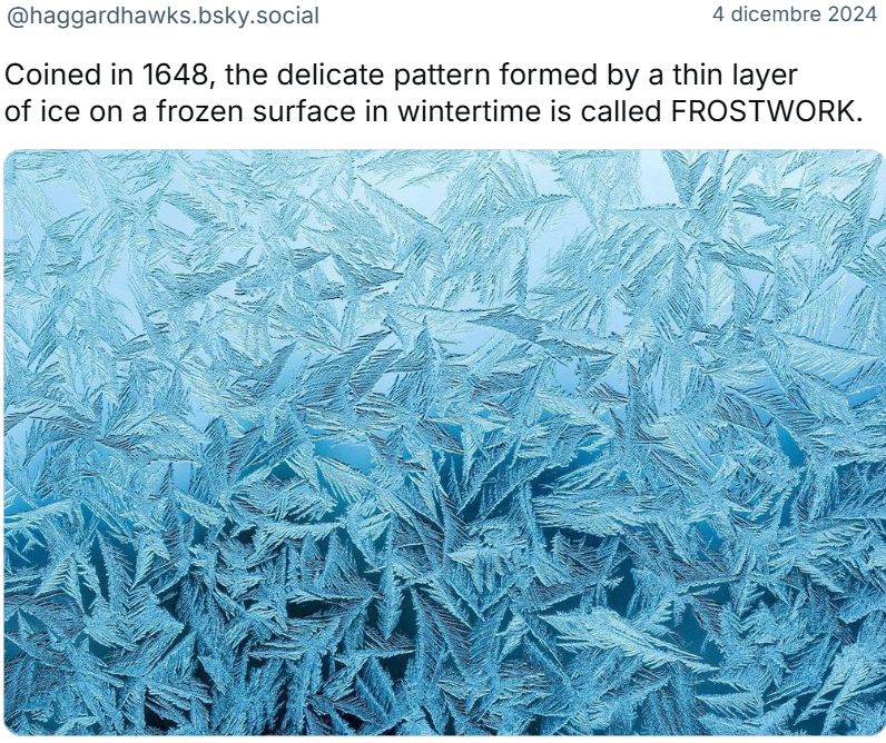 post di Haggard Hawks: “Coined in 1648, the delicate pattern formed by a thin layer of ice on a frozen surface in wintertime is called FROSTWORK”