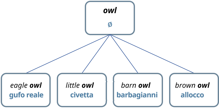 rappresentazione gerarchica di iperonimo inglese “owl” e iponimi “eagle owl”, “little owl”, “barn owl” e “brown owl”, e rispettivi  nomi italiani