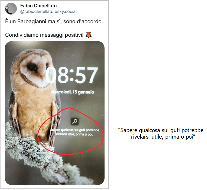 post di Fabio Chinellato con commento “È un Barbagianni ma sì, sono d'accordo. Condividiamo messaggi positivi!”