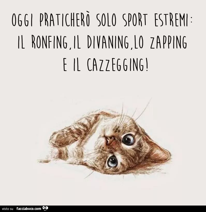 Immagine di gattino semisdraiato e didascalia “Oggi praticherò solo sport estremi: il ronfing, il divaning, lo zapping e il cazzegging!”